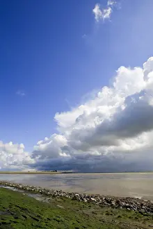 Dutch Coastline Scenery Stampe: Westerschelde