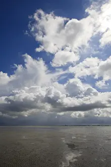 Low Tide Netherlands Stampe: Westerschelde