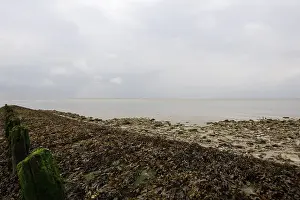 Westerschelde