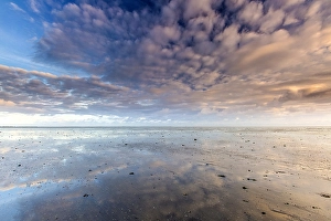 Low Tide Mudflats Europe Stampe: the Wierumerwad