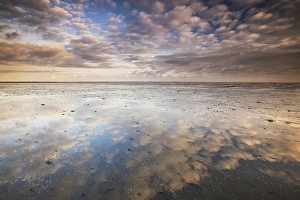 Low Tide Mudflats Europe Stampe: the Wierumerwad