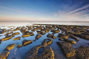 Stampa con cornice : Wierumerwad, Waddenzee Stampa con cornice : Wierumerwad, Waddenzee