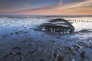 Europe Coastal Scenery Stampe: Wierumerwad, Waddenzee