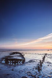 Europe Coastal Scenery Stampe: Wierumerwad, Waddenzee
