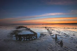 Europe Coastal Scenery Stampe: Wierumerwad, Waddenzee