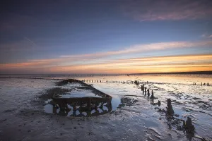 Europe Coastal Scenery Stampe: Wierumerwad, Waddenzee