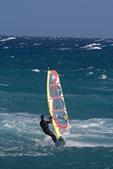 Rough Sea Waves Stampe: Windsurfer