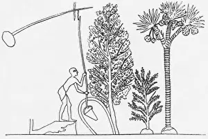 Historical Artwork Stampe: Ancient Well