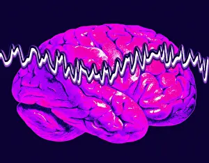 Human Brain Illustration Stampe: Brainwaves