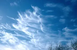 Cirrus Clouds Stampe: Cirrus Cloud
