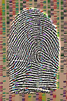 Fingerprint Analysis Stampe: Fingerprint analysis