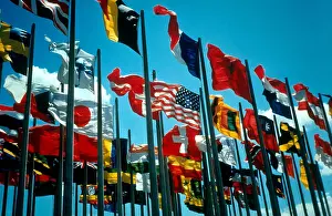 International Flags Stampe: Flags of the World