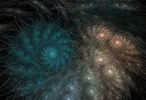 Computer Generated Art Stampe: Fractal Flames