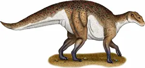 Cretaceous Period Artwork Stampe: Hadrosaurus