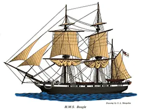 HMS Beagle Stampe: HMS Beagle