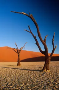Namibia Desert Landscapes Stampe: Sand dunes, Namibia
