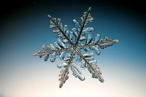 Stampa con cornice : Snowflake. Una neve o una cristallo di neve Stampa con cornice : Snowflake. Una neve o una cristallo di neve