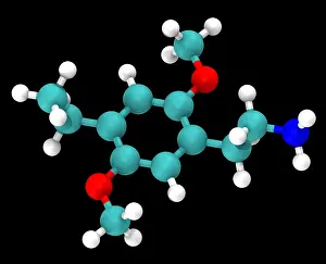 Molecular Model Stampe: Molecular Model of 2C-E