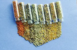 Pollination Process Stampe: Pollen