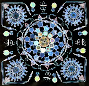 Diatomi sotto un microscopio.