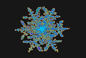 Geometric Symmetry Pattern Stampe: Snowflake