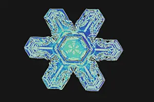 Meteorology Images Stampe: Snowflakes