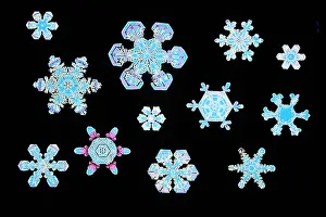 White Winter Wonderland Stampe: Snowflakes
