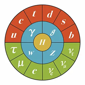 Higgs Boson Particle Stampe: Standard Model, Particle Physics