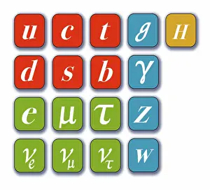 Higgs Boson Particle Stampe: Standard Model, Particle Physics
