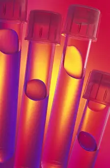 Laboratory Test Tubes Stampe: Test tubes
