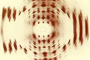 Deoxyribonucleic Acid Image Stampe: X-ray Diffraction