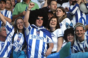 Football Supporters Cheering Stampe: 0078